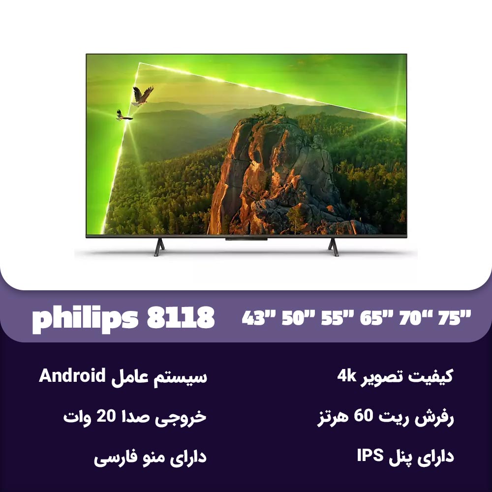 مشخصات تلویزیون فیلیپس 8118